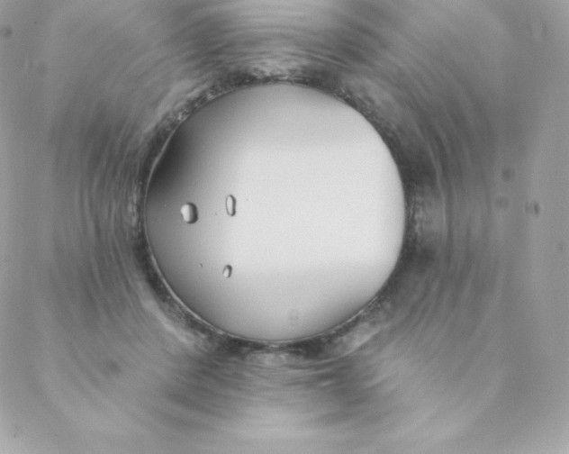 X0000088610408200706151832