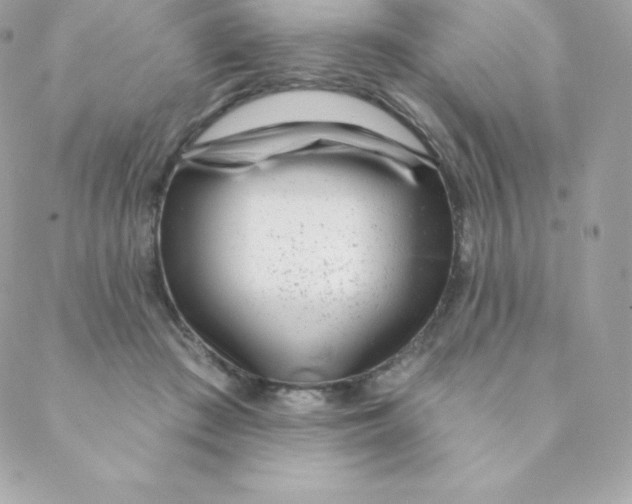 X0000088610409200706151832