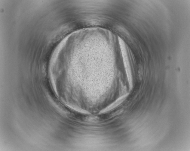 X0000088610410200706151832