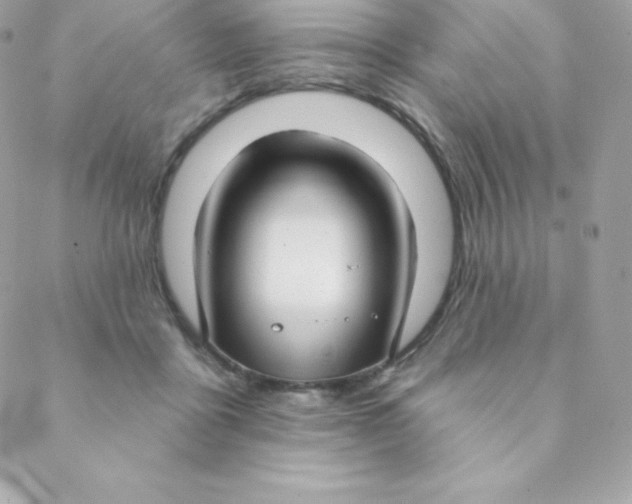 X0000088610411200706151832