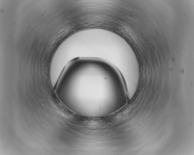 X0000088610412200706151832