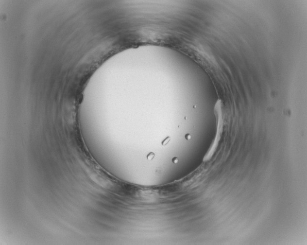 X0000088610413200706151832