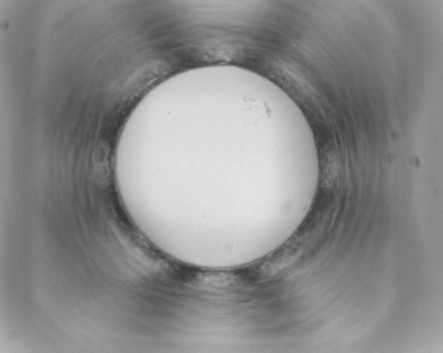 X0000088610414200706151832