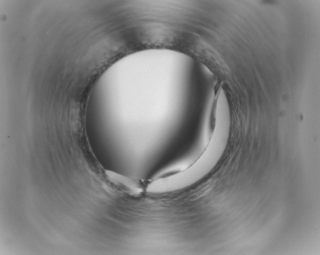 X0000088610416200706151832