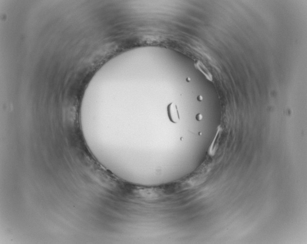 X0000088610417200706151832