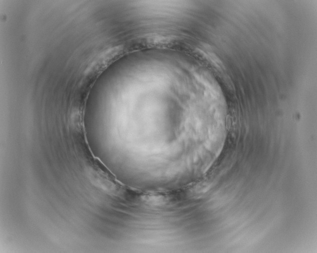 X0000088610419200706151832