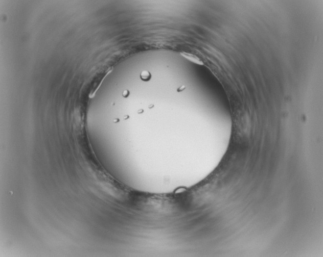 X0000088610420200706151832