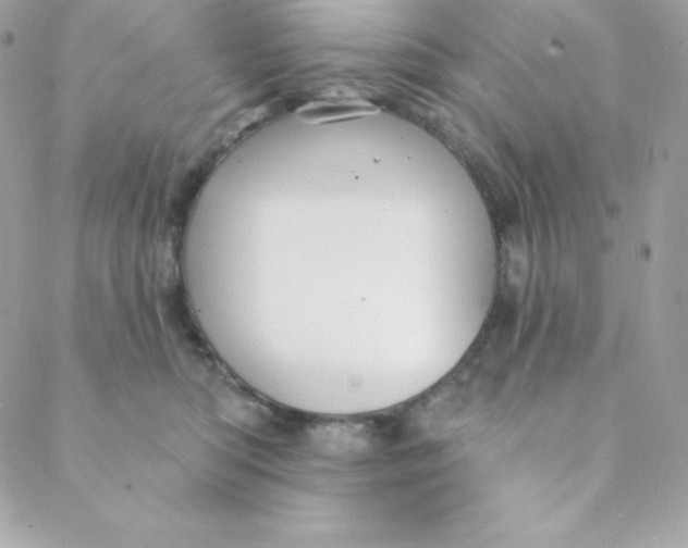 X0000088610422200706151831