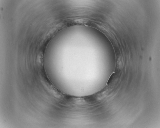 X0000088610424200706151831