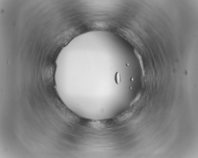 X0000088610425200706151831