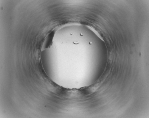 X0000088610428200706151831