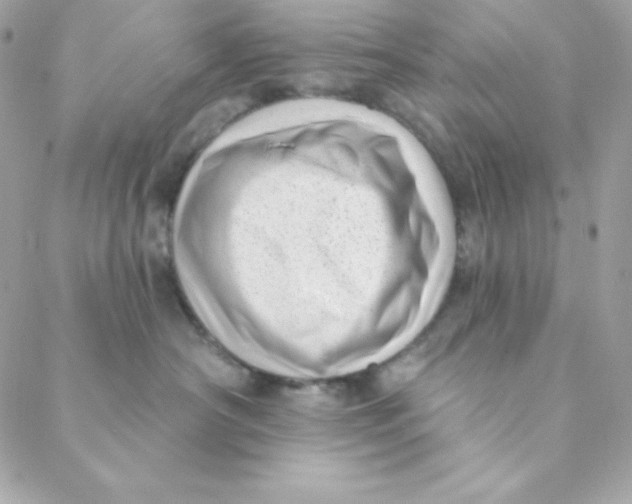 X0000088610430200706151831