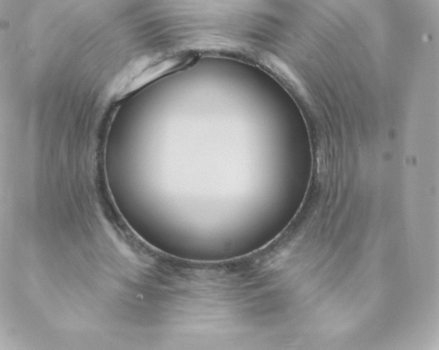 X0000088610436200706151831