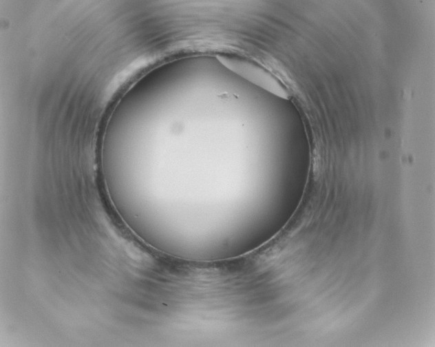 X0000088610438200706151831