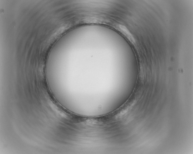 X0000088610441200706151831