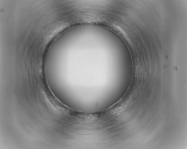 X0000088610443200706151831