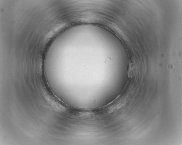 X0000088610446200706151831