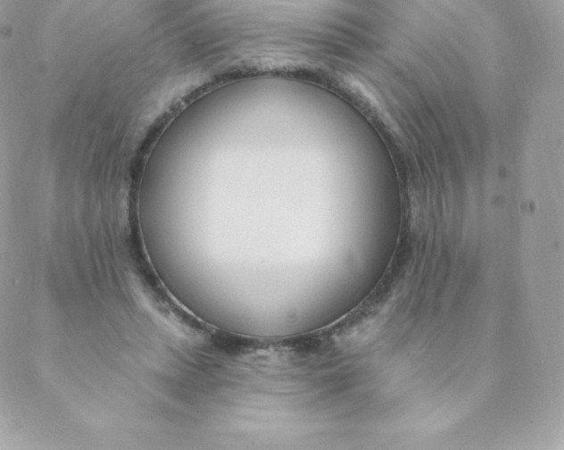 X0000088610447200706151831