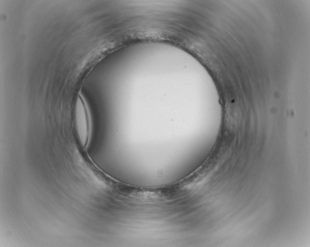 X0000088610449200706151831