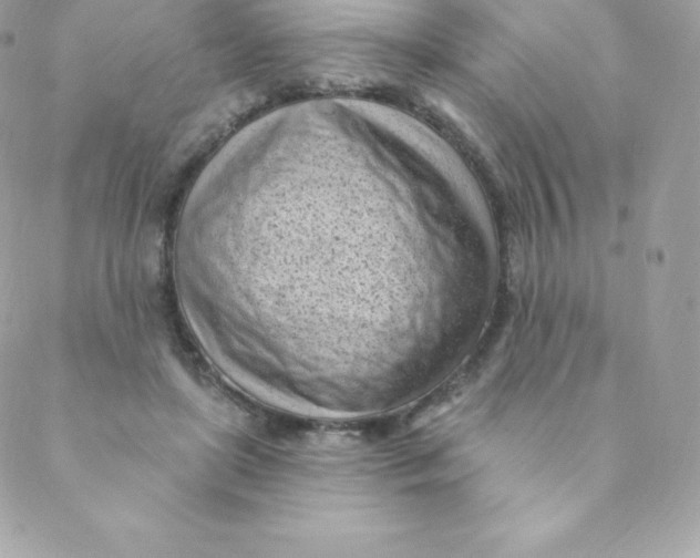 X0000088610451200706151831