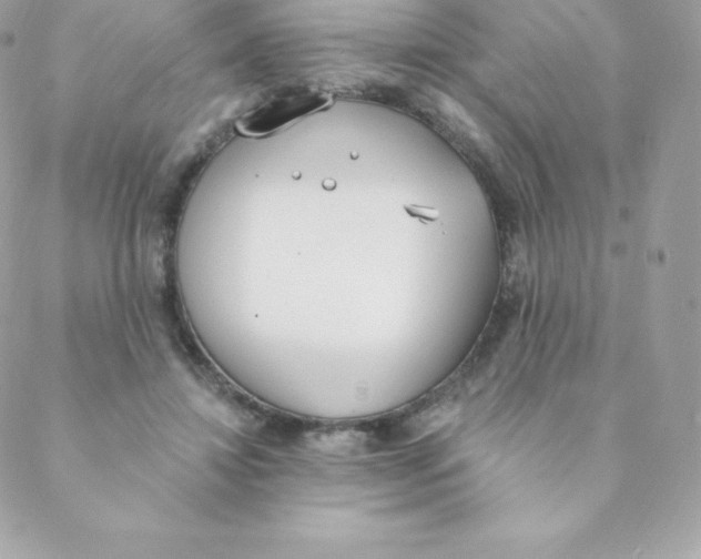 X0000088610452200706151831