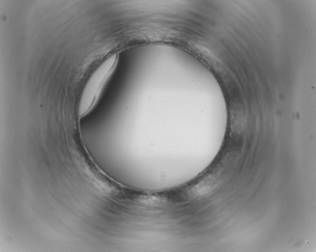 X0000088610453200706151831