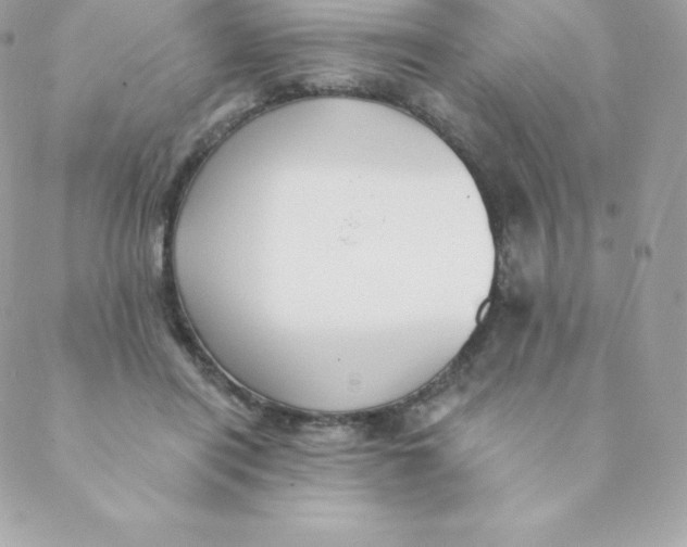 X0000088610454200706151831