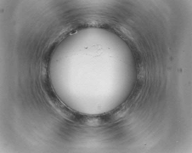 X0000088610456200706151831