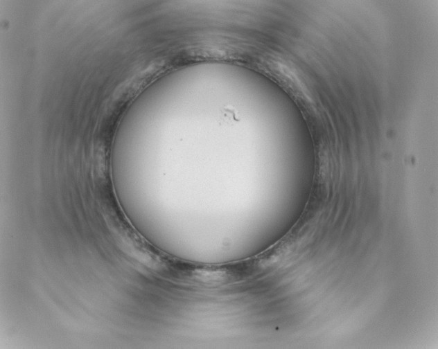 X0000088610457200706151831