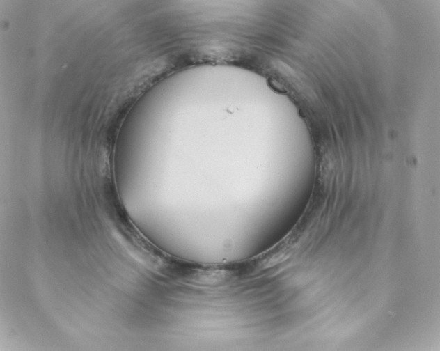 X0000088610459200706151831