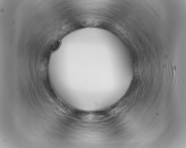 X0000088610460200706151831