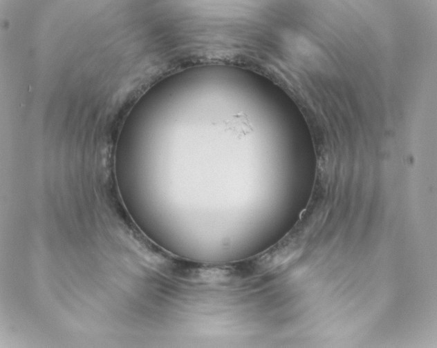 X0000088610462200706151831