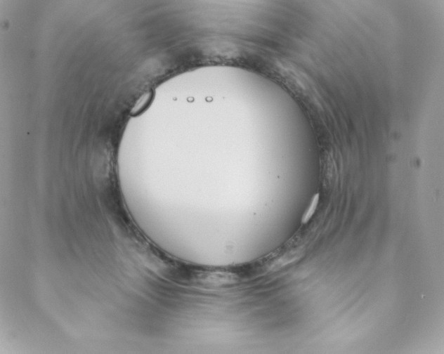 X0000088610463200706151831