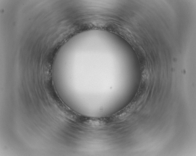 X0000088610464200706151831