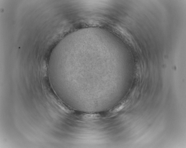 X0000088610465200706151831