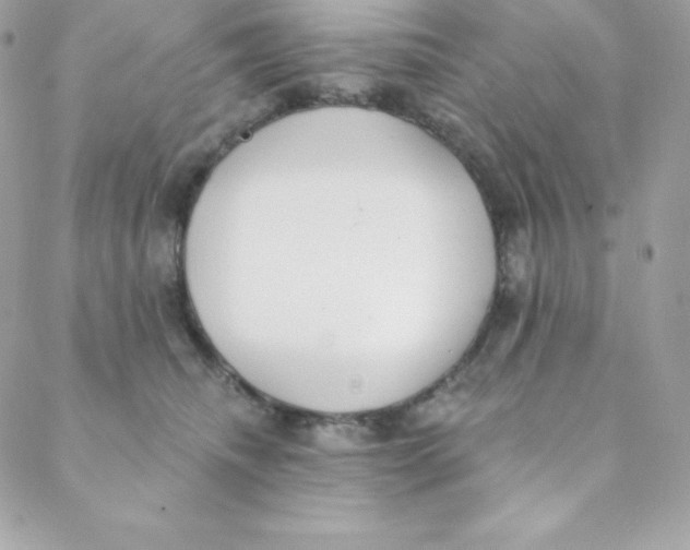 X0000088610468200706151831