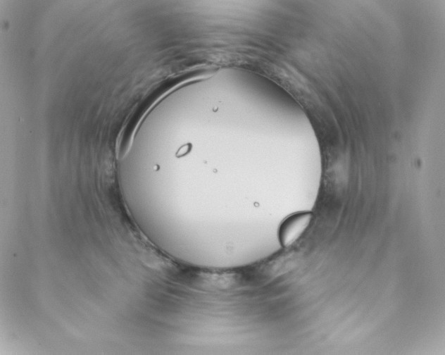 X0000088610469200706151831