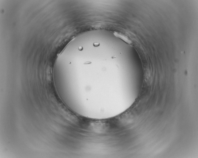 X0000088610470200706151831