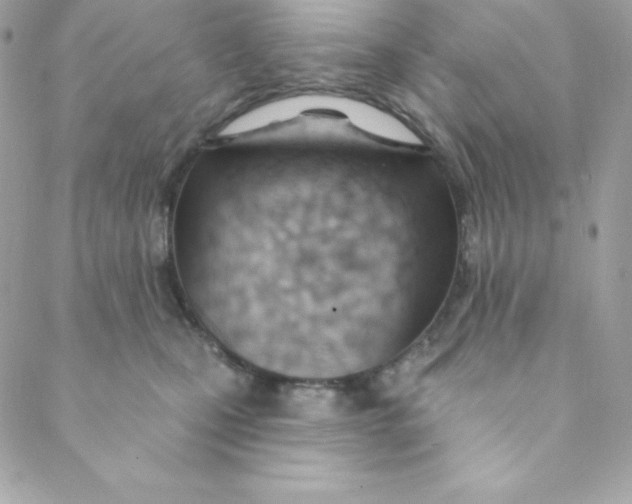 X0000088610471200706151831