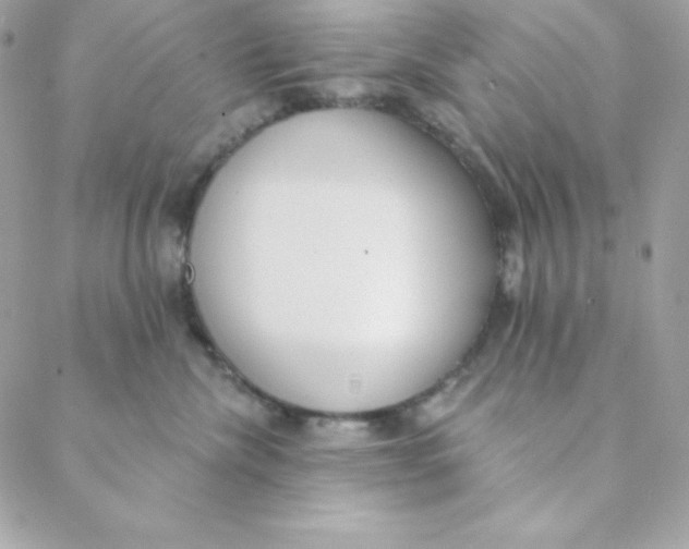 X0000088610476200706151831