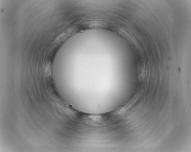 X0000088610478200706151831