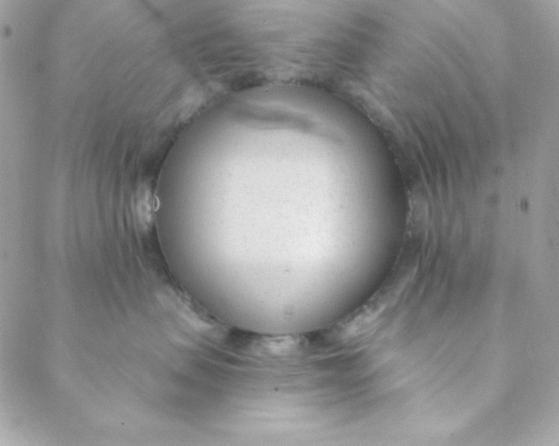 X0000088610479200706151831