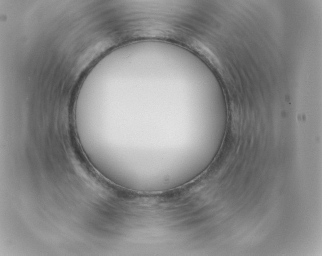 X0000088610482200706151831