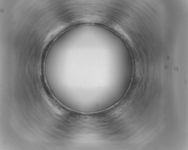 X0000088610486200706151830