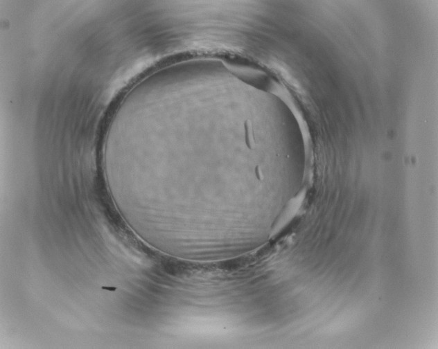 X0000088610488200706151830