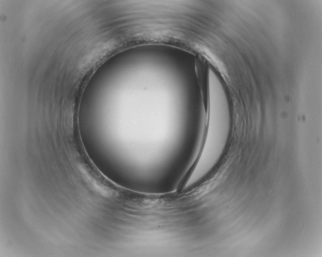 X0000088610493200706151830