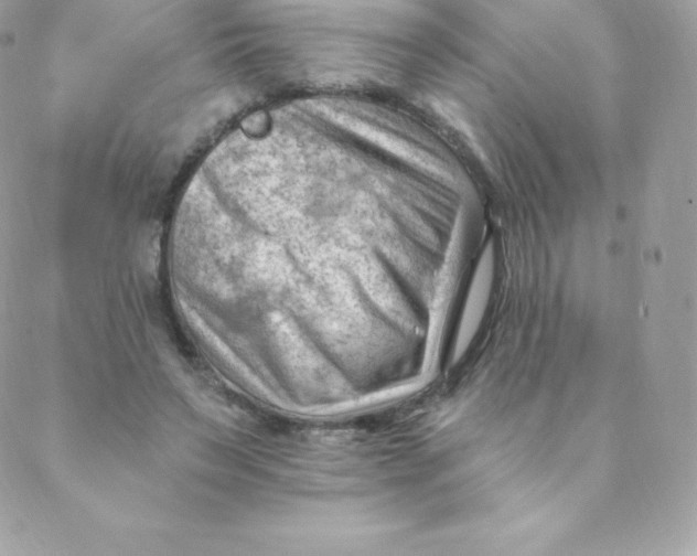 X0000088610495200706151830