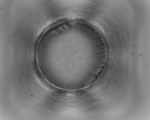 X0000088610496200706151830