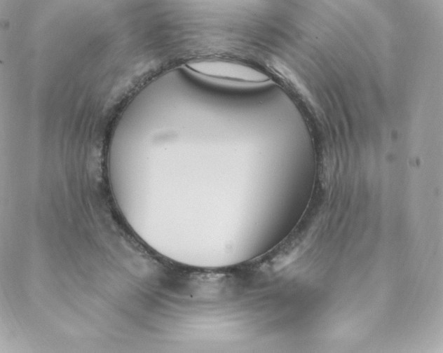 X0000088610497200706151830