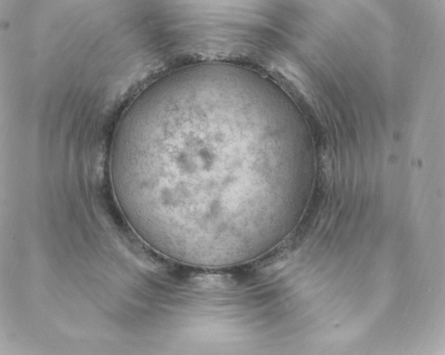 X0000088610499200706151830